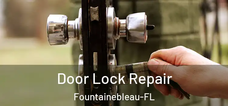  Door Lock Repair Fountainebleau-FL