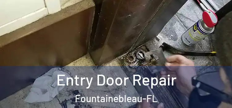  Entry Door Repair Fountainebleau-FL