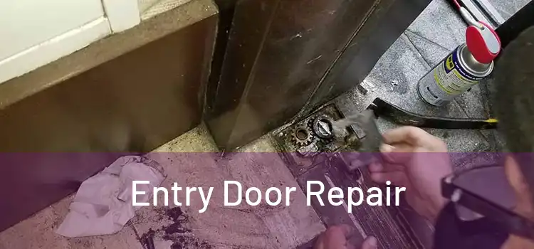 Entry Door Repair