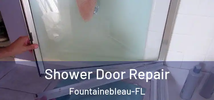 Shower Door Repair Fountainebleau-FL